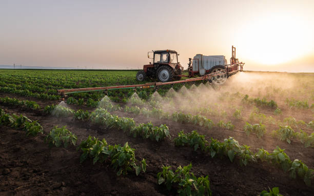 Best Pest Control for Businesses  in Patterson, CA