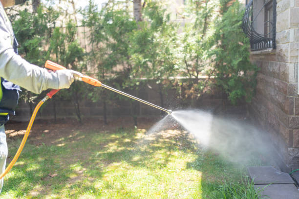 Pest Prevention Services in Patterson, CA