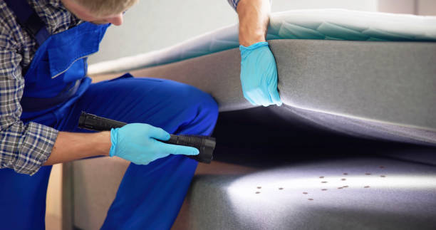 Best Best Pest Control Companies  in Patterson, CA