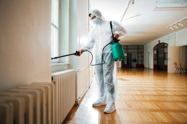 Best Mosquito Control Services  in Patterson, CA